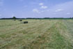 Bild4