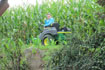 Bild12